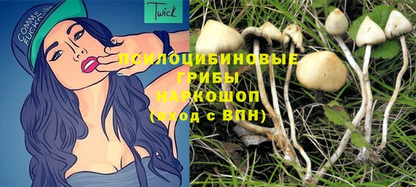 стафф Щигры