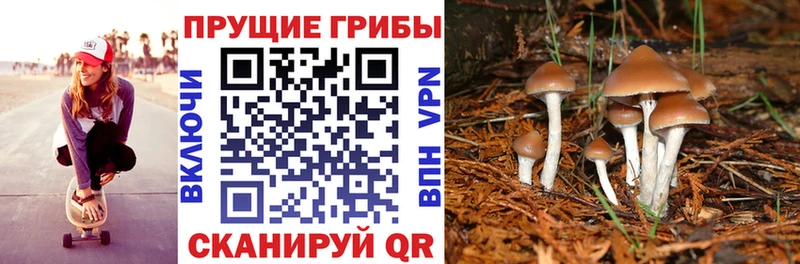 мориарти Telegram  Самара  Псилоцибиновые грибы мухоморы  где продают наркотики 